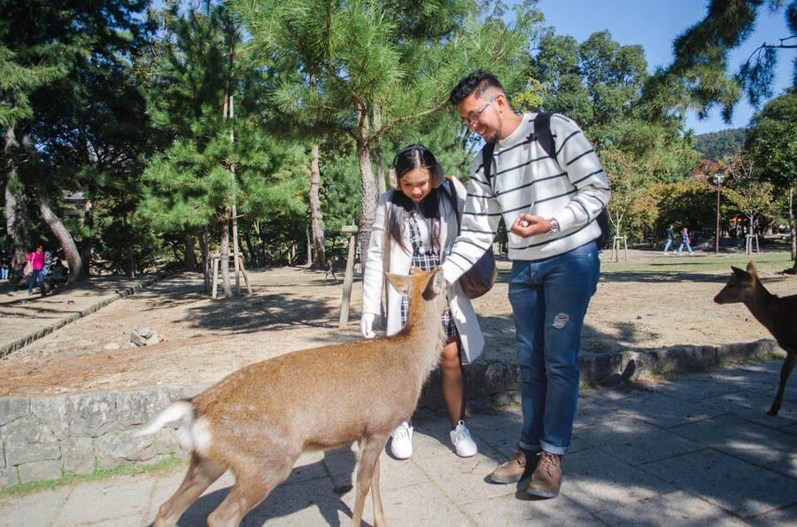 Kobe: Private Walking Shore Excursion- Kyoto/Osaka/Nara/Kobe - Pacing, Comfort, and What to Bring for a Walking Day