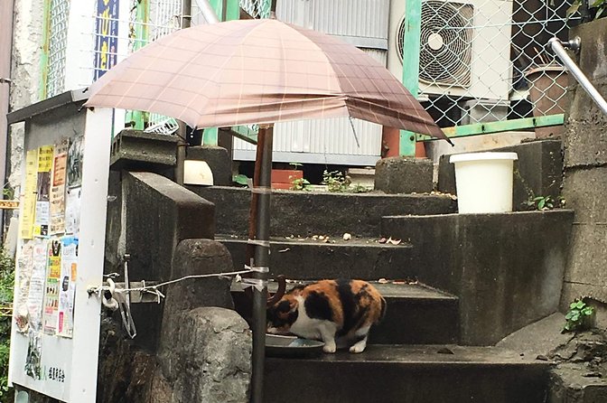 KOBE, SHIOYA, a quaint fishing town walking tour - How the 3-hour walking pace feels in practice