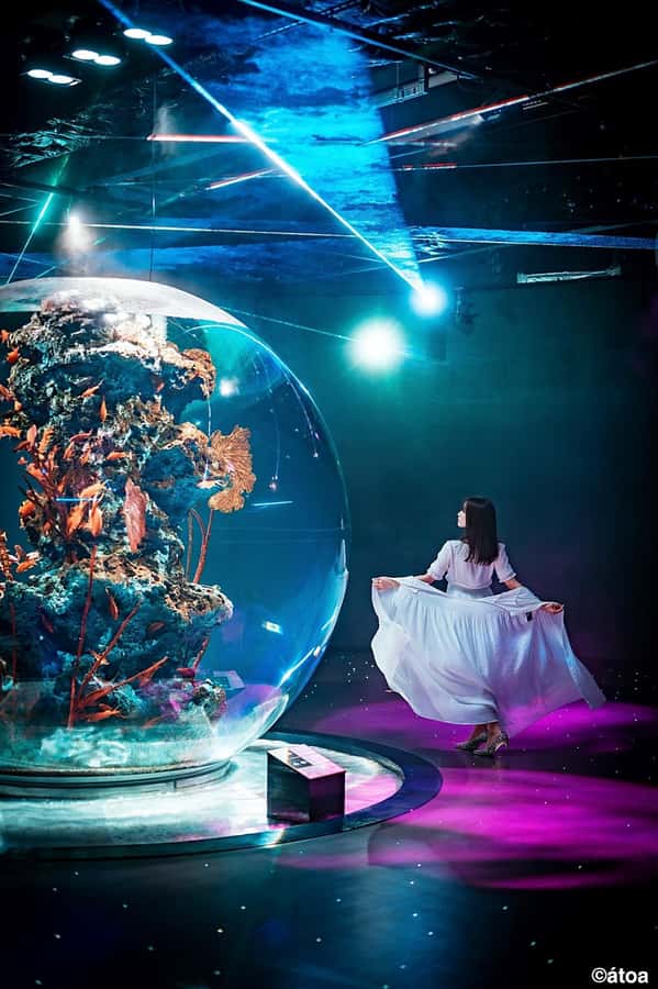 Kobe: Urban Aquarium AQUARIUM×ART átoa Entry Ticket - Key takeaways before you go