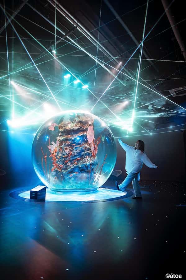 Kobe: Urban Aquarium AQUARIUM×ART átoa Entry Ticket - Why átoa in Kobe Feels Like a Gallery With Fish