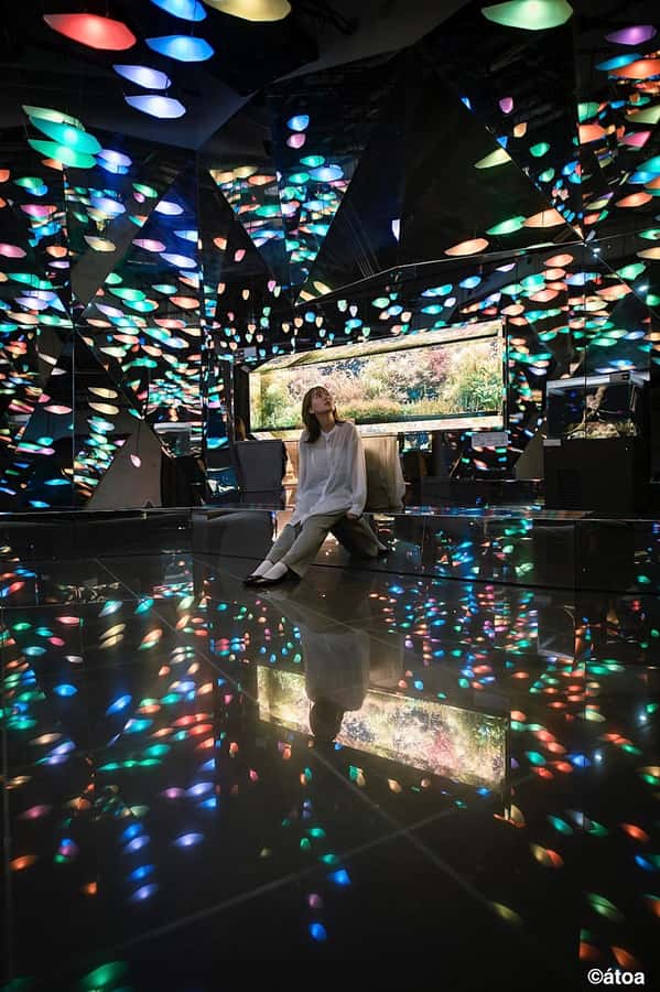 Kobe: Urban Aquarium AQUARIUM×ART átoa Entry Ticket - The Main Event: 8 Zones and 100 Species