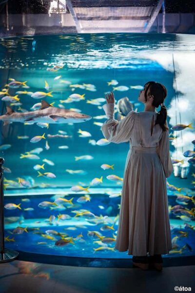Urban Aquarium AQUARIUM×ART átoa Entry Ticket