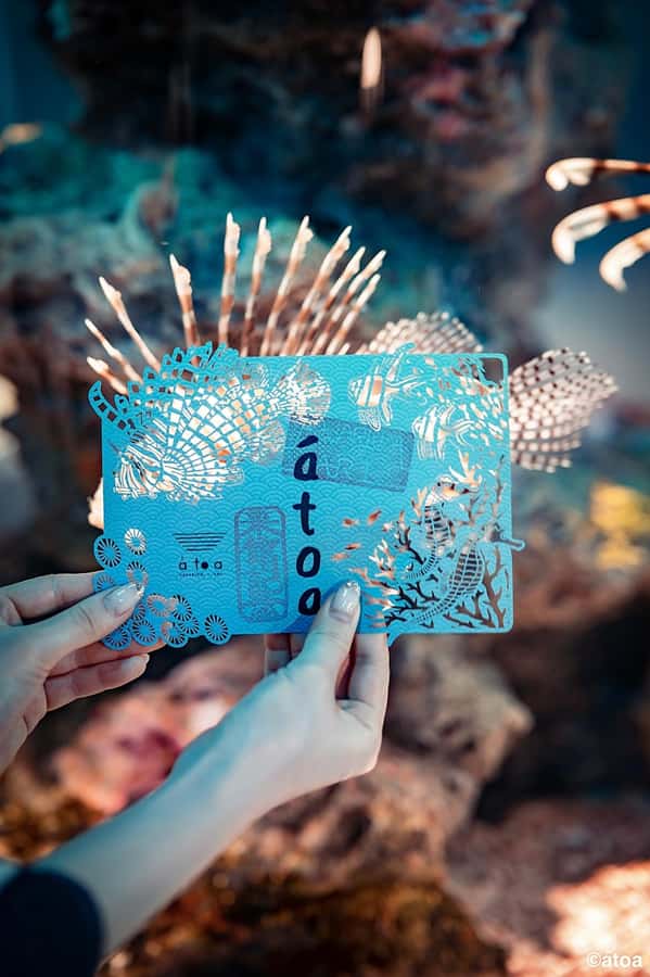 Kobe: Urban Aquarium AQUARIUM×ART átoa Entry Ticket - Art Installations and the Japanese Garden Mood