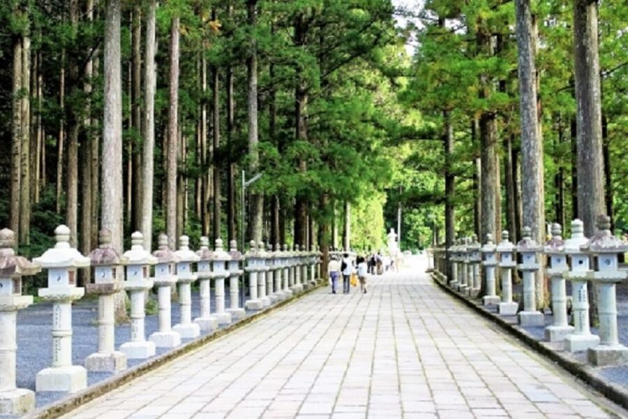 Koyasan: Mt. Koya Guided Private Walking Day Tour - Key Highlights to Know Before You Go