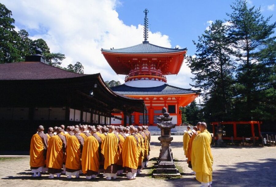 Koyasan: Mt. Koya Guided Private Walking Day Tour - Kongobuji and Danjo Garan, Where Shingon Starts to Make Sense