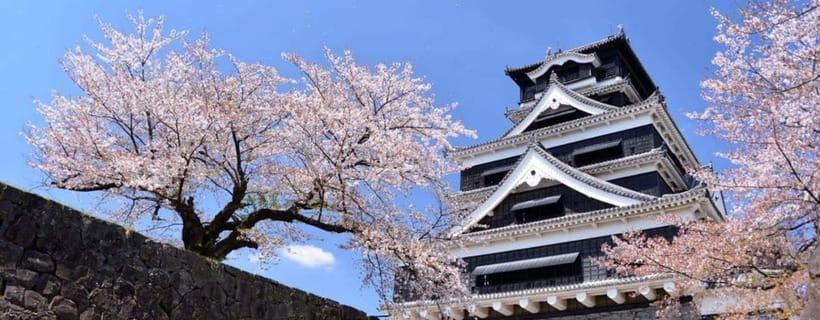 Kumamoto: Castle Admission Ticket - Entering Kumamoto Castle: a 1607 fortress in the middle of town