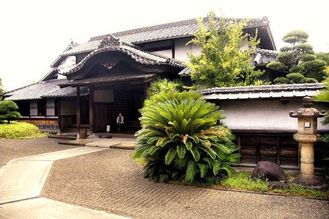 Kumamoto Full-Day Private Tour with Government-Licensed Guide - A Government-Licensed Guide That Makes Kumamoto Make Sense