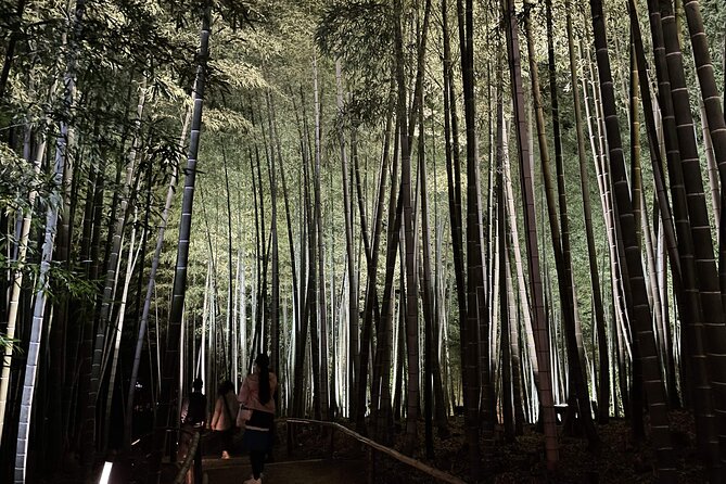 Kyoto 1 Day Golden Route Bus Tour - Arashiyama full-day: Tenryu-ji and the bamboo walk you can actually enjoy