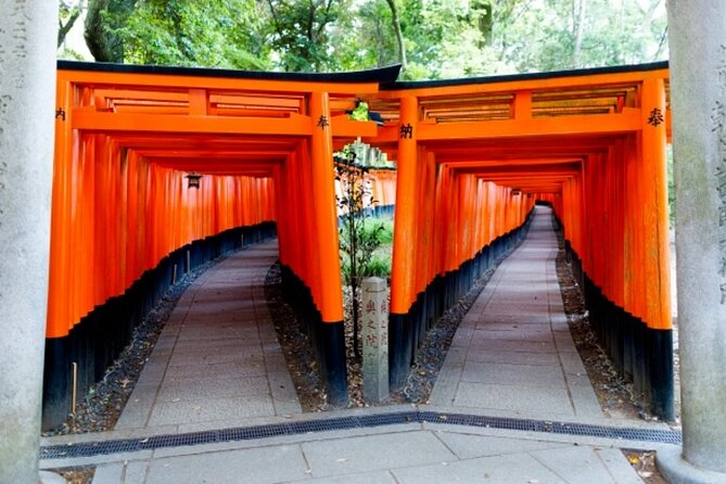 Kyoto 1 Day Golden Route Bus Tour - Kinkaku-ji Golden Pavilion: the iconic stop with a short, focused visit