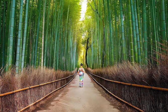 Kyoto 1 Day Suntory Yamazaki Distillery Tour and Asahi Art Museum - Price and value: is $163.30 a fair deal for Kyoto?