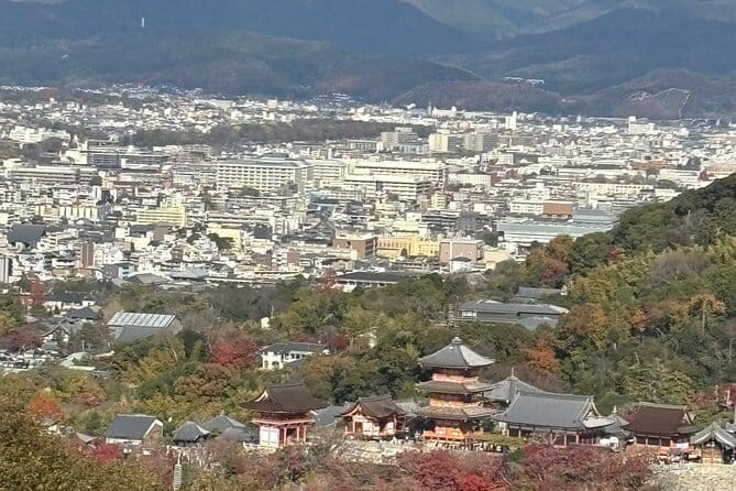 Kyoto 1 Day Suntory Yamazaki Distillery Tour and Asahi Art Museum - Who should book this, and who should skip it