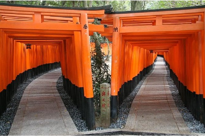 Kyoto 1 Day Tour from Kyoto - Fushimi Inari Taisha: Red Torii Gates and a Walk You Should Not Skip