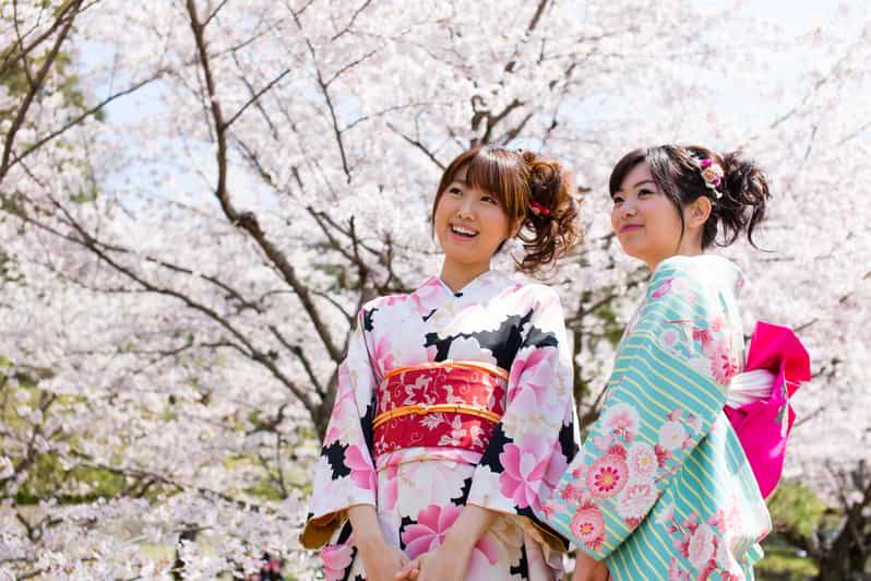 Kyoto: 1 Day:Traditional Japanese Kimono Rental Experience - Why this one-day kimono plan works in Kyoto