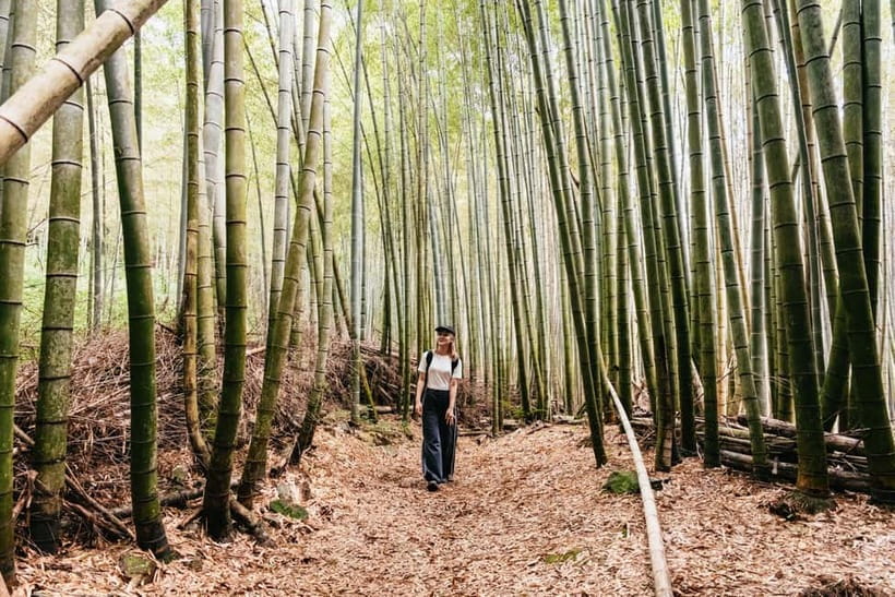 Kyoto: 3-Hour Fushimi Inari Shrine Hidden Hiking Tour - Key Tour Highlights You’ll Actually Feel