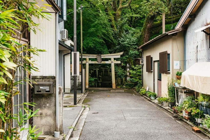 Kyoto: 3-Hour Fushimi Inari Shrine Hidden Hiking Tour - The Quiet Trail Segment: Bamboo, Side Paths, and Secluded Shrines
