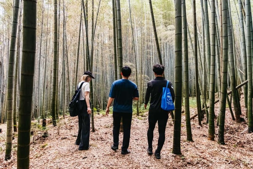 Kyoto: 3-Hour Fushimi Inari Shrine Hidden Hiking Tour - Viewpoints and Torii-Worthy Photo Stops (Without the Chaos)