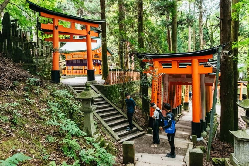 Kyoto: 3-Hour Fushimi Inari Shrine Hidden Hiking Tour - Coming Back Down: Forest Trail Energy and Another Bamboo Grove