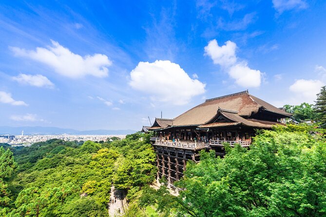 Kyoto 6hr Instagram Highlights Private Tour with Licensed Guide - Picking 3 to 4 stops so your photos match your interests