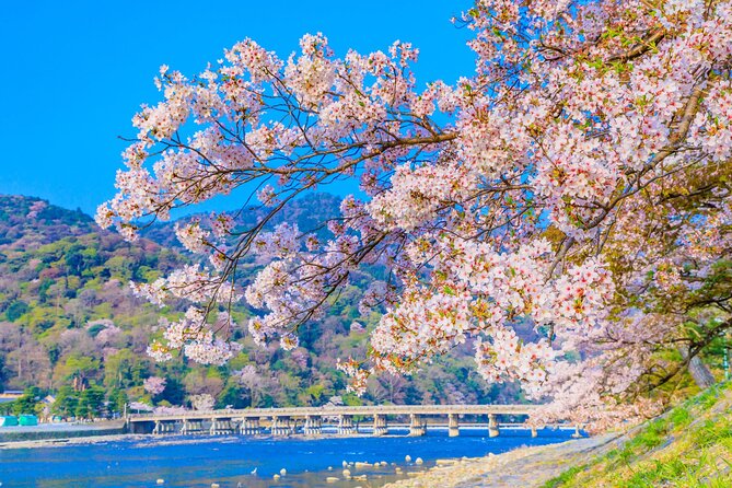 Kyoto 6hr Instagram Highlights Private Tour with Licensed Guide - Kiyomizudera and Yasaka Shrine, where the viewpoints earn their fame