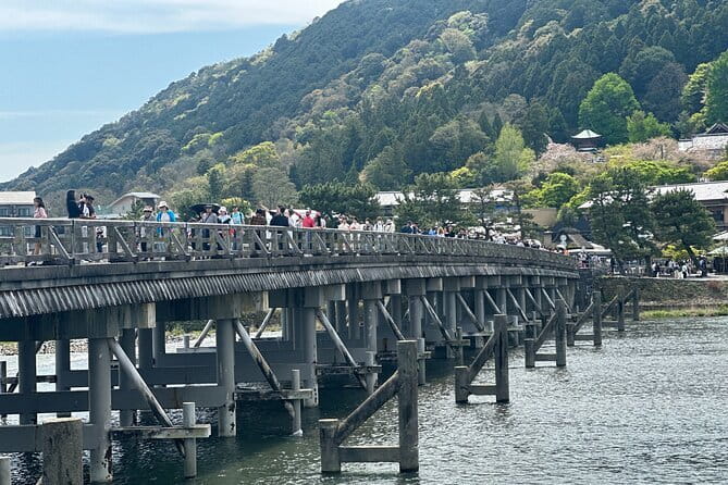 Kyoto Adventures Private English Tour With Hotel Pick Up - Arashiyama plus Tenryu-ji: bamboo forest vibes without the commute
