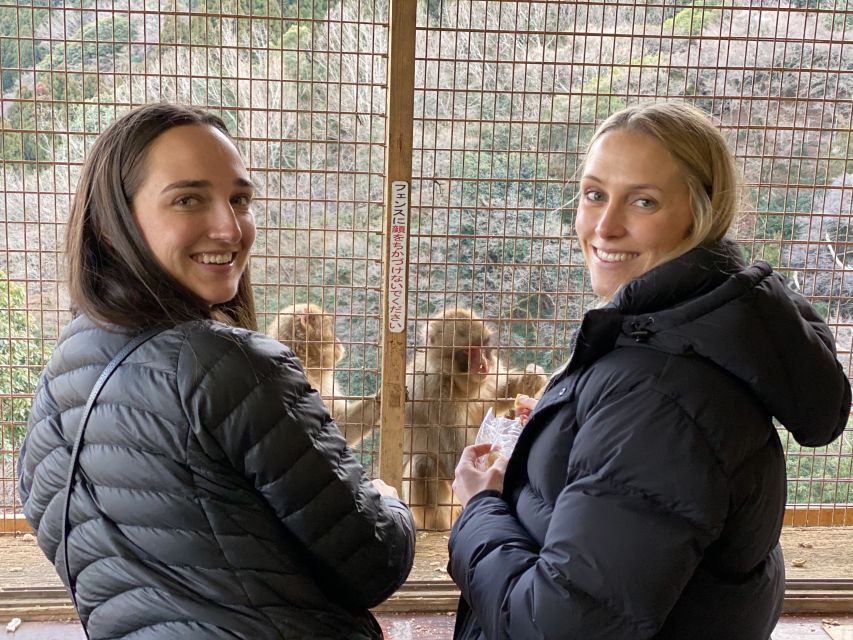 Kyoto: Afternoon Bamboo Forest and Monkey Park Bike Tour - Iwatayama Monkey Park: the 20-minute hike and the panoramic payoff
