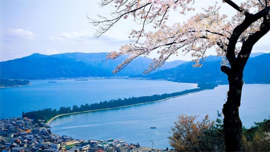 Kyoto: Amanohashidate Ine Funaya Tour - From Kyoto or Osaka to Amanohashidate, the day starts with a long, easy ride