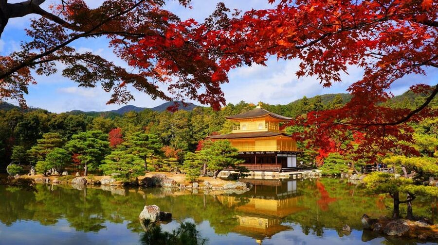 Kyoto and Nara Day Tour From Osaka with Deer Sightings - Should you book this Kyoto and Nara day tour from Osaka?
