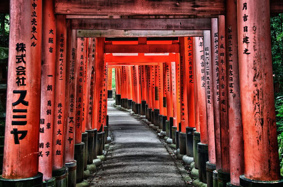 Kyoto and Nara Day Tour From Osaka with Deer Sightings - The van ride, the guide style, and why it affects your day