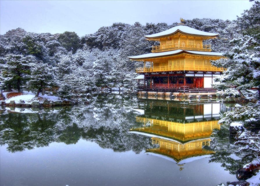 Kyoto and Nara Day Tour From Osaka with Deer Sightings - Who this tour suits, and who should adjust expectations