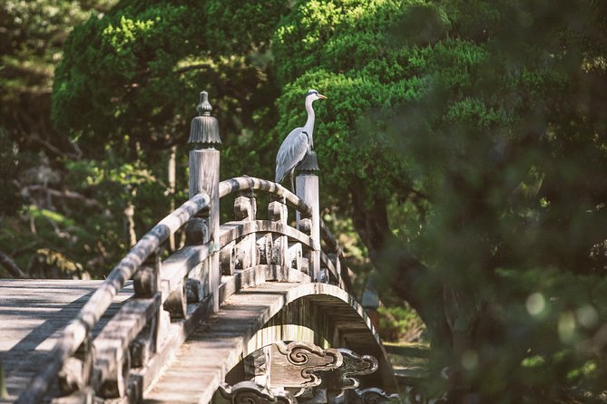 Kyoto and Nara Day Trip from Kyoto - Stop 3, Kyoto Imperial Palace: A Quick Taste, Plus a Backup Plan