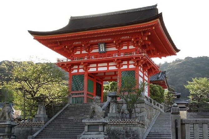 Kyoto and Nara Day Trip from Kyoto - Where You Meet, and How to Not Lose 20 Minutes