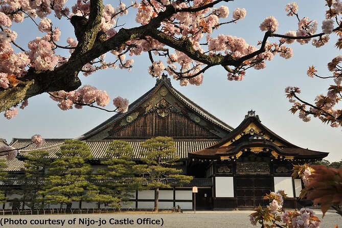Kyoto and Nara Day Trip from Osaka - Kinkaku-ji Golden Pavilion: A World-Famous View, a Busy Reality