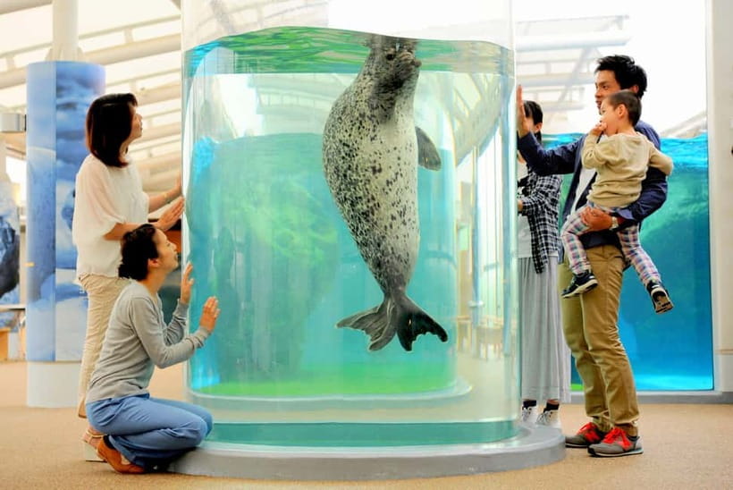 Kyoto Aquarium Admission Ticket - Key things that make Kyoto Aquarium worth your time