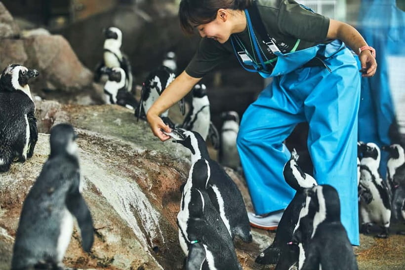 Kyoto Aquarium Admission Ticket - Umekoji Park sets the tone before you even enter