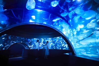 Kyoto Aquarium Admission Ticket