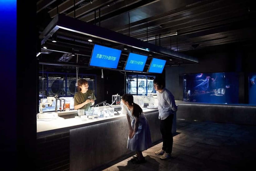 Kyoto Aquarium Admission Ticket - Giant salamanders: the rare, ancient exhibit that steals the show