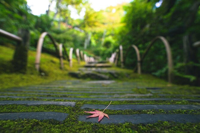 Kyoto Arashiyama Bamboo forest & Garden Half-Day Walking Tour - Stop-by-stop: from Hokyoin’s quiet garden to Tenryuji’s Zen