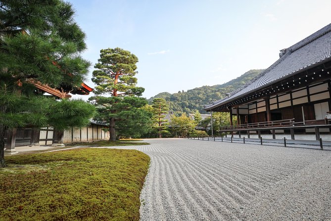 Kyoto Arashiyama Bamboo forest & Garden Half-Day Walking Tour - Matcha and lunch: the pause that makes the tour feel Kyoto
