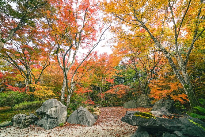 Kyoto Arashiyama Bamboo forest & Garden Half-Day Walking Tour - How the guide experience changes what you see