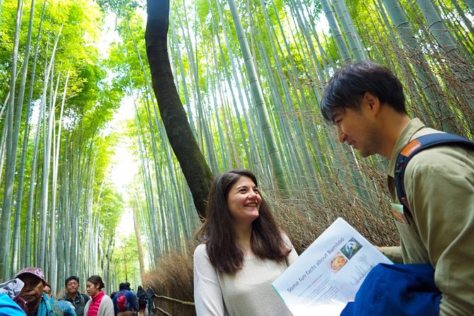 Kyoto Arashiyama Bamboo forest & Garden Half-Day Walking Tour - Price and what makes it feel worth $129.33
