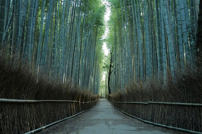 Kyoto Arashiyama Bamboo Forest Hiking Tour(Hidden Temples) - Key points to know before you go