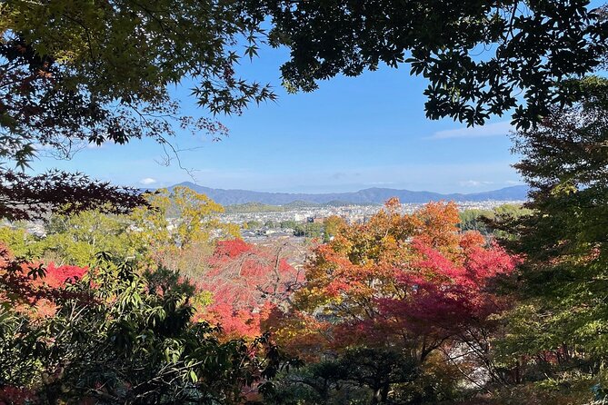 Kyoto Arashiyama Bamboo Forest Hiking Tour(Hidden Temples) - Why the Arashiyama bamboo experience feels faster with a guide