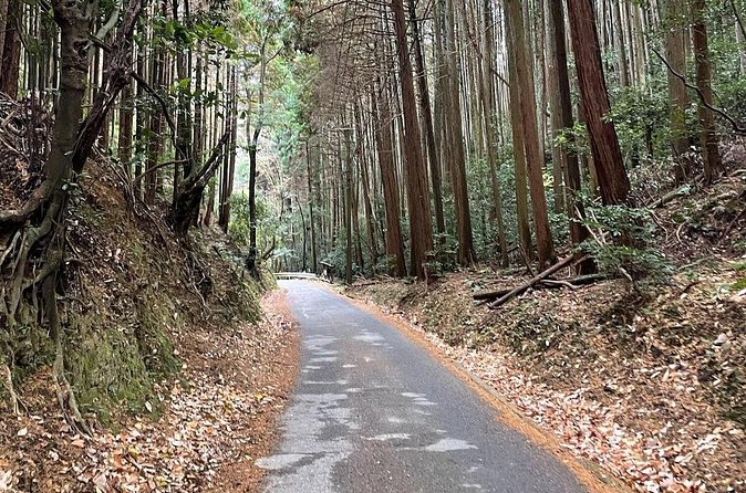 Kyoto Arashiyama Bamboo Forest Hiking Tour(Hidden Temples) - Meeting point at Saga-Arashiyama Station, and what the 3 hours really includes