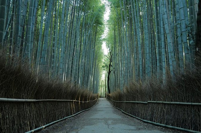 Kyoto Arashiyama Bamboo Forest Hiking Tour(Hidden Temples) - Who this tour is best for, and who might want a different plan