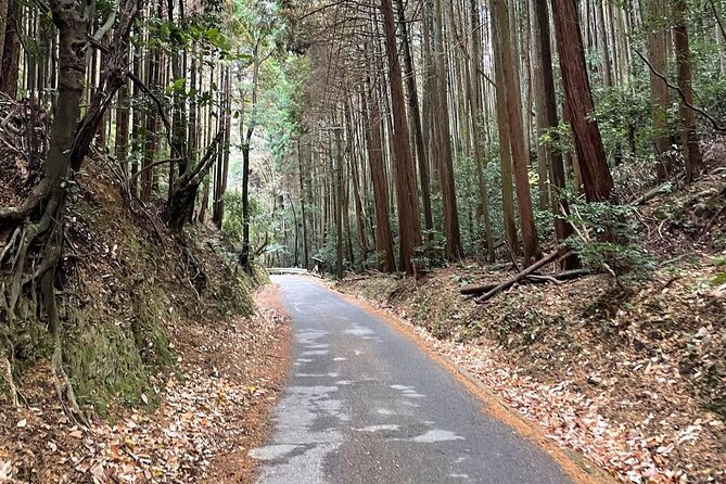 Kyoto Arashiyama Bamboo Forest Hiking Tour(Hidden Temples) - Final call: should you book this Arashiyama bamboo forest hiking tour?