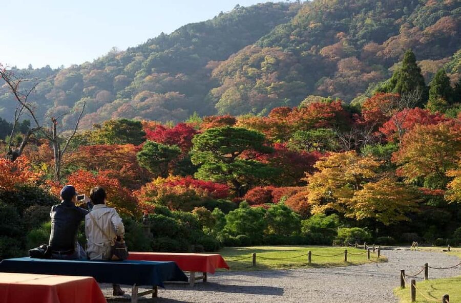 Kyoto: Arashiyama Bamboo Grove 3-Hour Guided Tour - Arashiyama on a half-day time budget