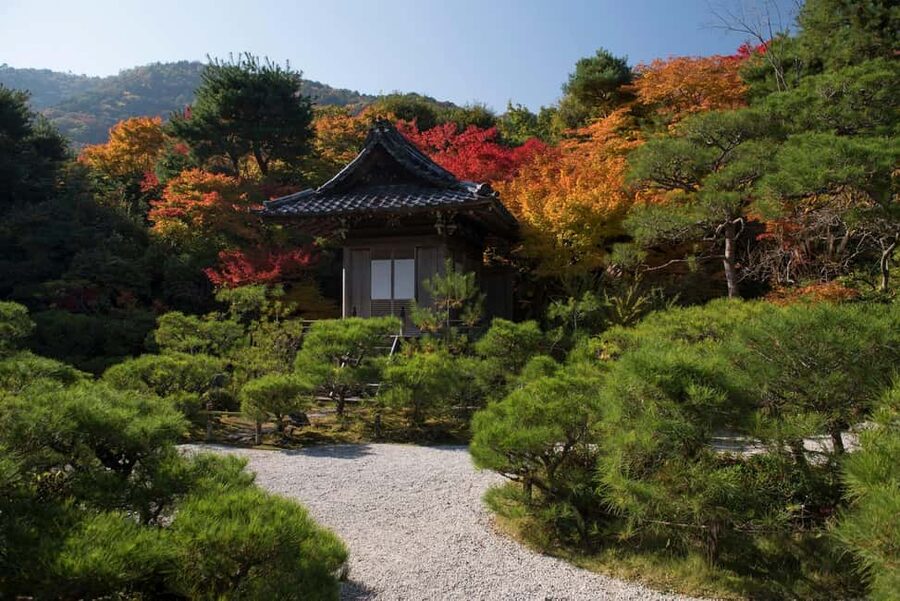 Kyoto: Arashiyama Bamboo Grove 3-Hour Guided Tour - The bamboo grove route: where your photos actually work