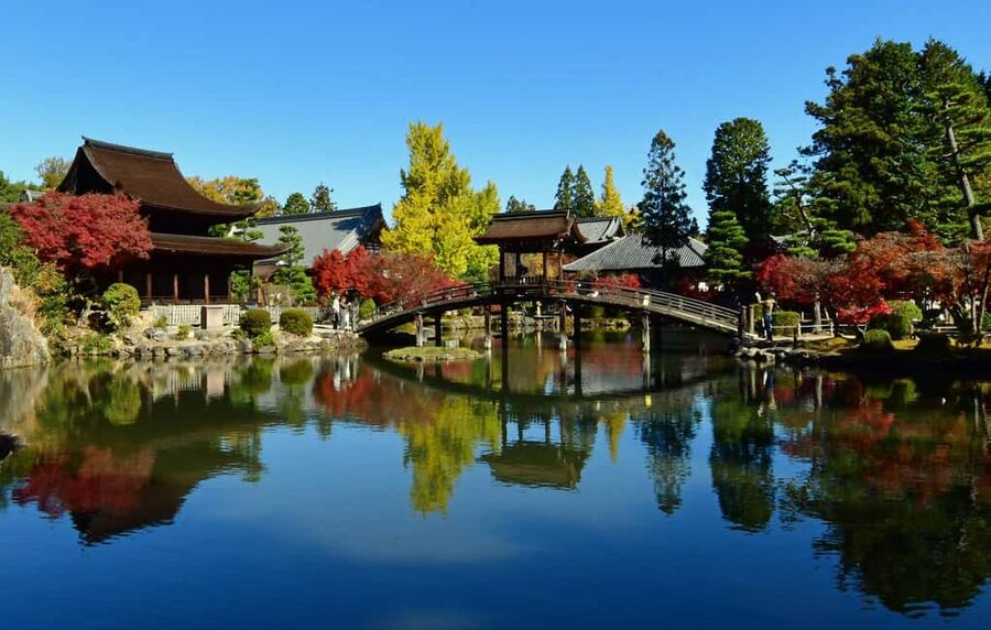Kyoto: Arashiyama Bamboo Grove 3-Hour Guided Tour - Why the guide makes this worth the money