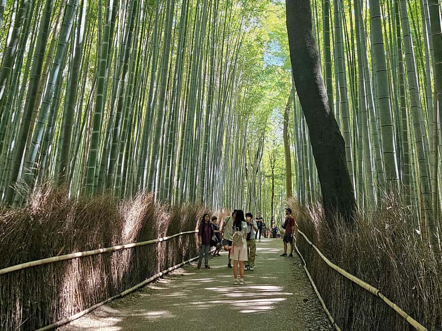 Kyoto: Arashiyama Bamboo Grove 3-Hour Guided Tour - Comfort, dress code, and the small constraints that matter