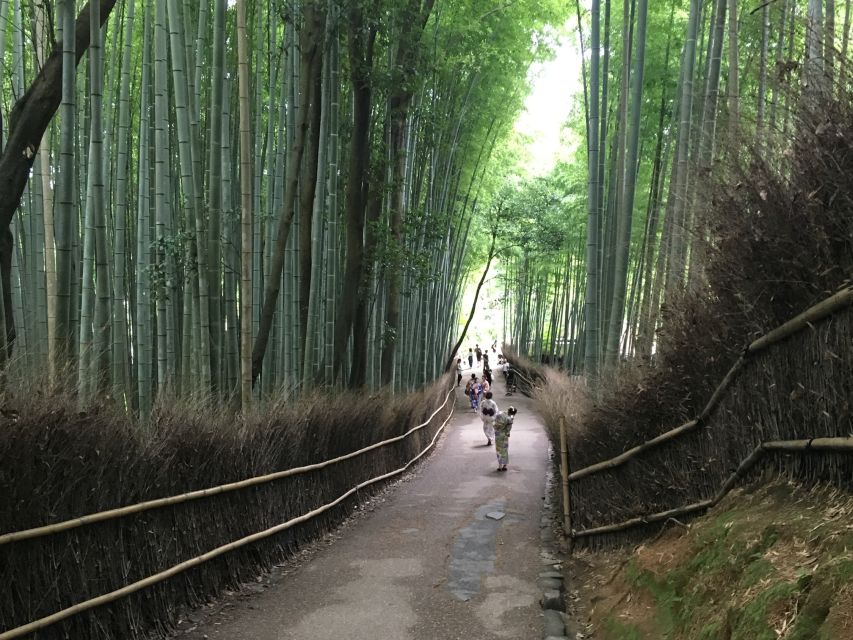 Kyoto Arashiyama Customized Private Tour - Tenryu-ji or Jojakko-ji, picking the mood you want